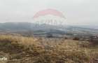 COMISION 0% Teren 623mp Cluj-extravilan / Iesire spre Padureni - 7