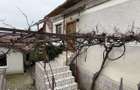 Casa la strada principala cu 5 camere, teren 496 mp, Cindeni - 3
