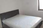 De inchiriat apartament cu 2 dormitoare living baie si bucatarie - 4