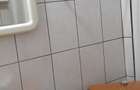 Persoana fizica inchiriez apt. 2 camere Pacurari - 1