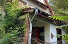 Proprietar, vand casa parter+etaj, 150 mp, curte 3438 mp, Avram Iancu - 10
