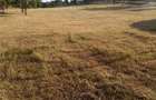 Teren de 2100 mp, în Rădăcinești - 1