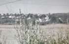 Vand teren in com. Bascov, vis a vis de hotel Star, extravilan 4778 mp - 3