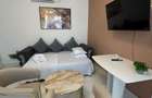 APARTAMENT 2 CAMERE INCHIRIAT  PARCUL CAROL - TINERETULUI - 5