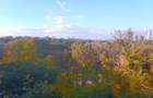 Apartament 3 camere vedere deschisa catre parc - 5