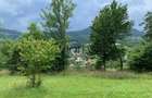 Teren intravilan 5360mp Bistrita Nasaud | Tiha Bârgăului - 3