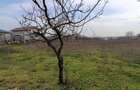 Teren 4625 mp Cataloi (10 min de Tulcea) - 2