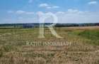 Teren intravilan | Cihei | Bihor - 2