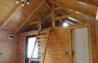 Casa din lemn + 29 de arii teren intravilan