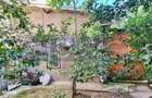 VANZARE CASA 2 CAMERE 35MP + TEREN 36MP CURTE COMUNA PIATA VICTORIEI R - 3