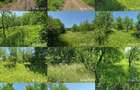 Teren extravilan, loc. Bobohalma, jud. Mures - 4