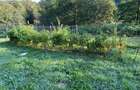 Teren intravilan de vanzare, 850 mp, acces pavat - 5