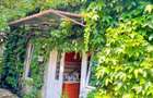 CASA Ultracentrala PIATA ROMANA Teren 300mp INVESTITIE CU POTENTI - 4