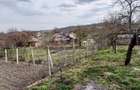 Exclusivitate! Casa individuala cu pozitie buna in Moldovenesti-Cluj - 5