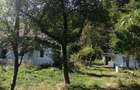 Vand teren intravilan si casa in orasul Baia de Arama - 1