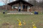 Casa de vacanta premium de vanzare in Breaza-intimitate, natura - 9