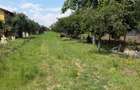 Teren de 3899 mp, în Filipeștii de Pădure - 3