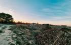 Teren 1450 mp intravilan, construibil Carpinis