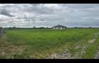 Vand loc de casa in Botiz - 1