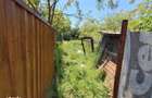 Casa 3 Camere | Voluntari | Dragonul Rosu - 2