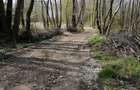 Teren intravilant Com. Runcu, sat Runcu, Gorj - 3