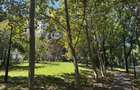 Inchiriere apartament 4 camere Dna Ghica-Tei - 2