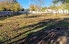 Casa 3 cam.Scortaru Nou - 2