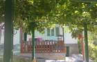 Casa si padure de vanzare in satul Mada comuna Balsa - 16