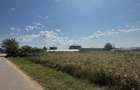 Vand teren intravilan 9.000 m in Joi?a, Giurgiu utilita?i la drum!