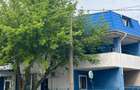 Casa individuala de vanzare in zona Prelungirea Ferentari - 20