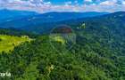 Refugiu in natura la Sacele | Teren 7.000 mp cu rau | Comision 0% - 5