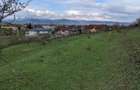 De vanzare teren 10.000 mp (1 hectar) in Santuhalm, langa Deva, ideal pentru dezvoltare imobiliara - 6