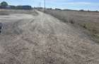 Vand Teren Intravilan Carcea 1000 mp 48 !!! - 1