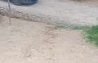 Teren Apuseni linga drum - 6