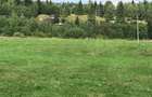 Teren de vis 10.000 mp intravilan in Neagra ?arului, la doar 15 km de Vatra Dornei - 3