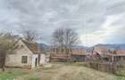 Teren intravilan si casa cu livada in Sacel - pretabil investitii - 6