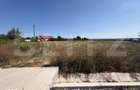 Teren 15.000 mp, zona Bucureasa