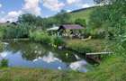 Cabana de inchiriat cu lac privat si ciubar - 3