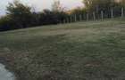 Teren intravilan de vanzare - 4