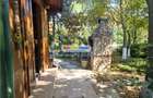 Vila P+M, 5 camere, piscina, curte spre lac - Sarulesti, Calarasi