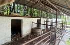 Vand/Schimb/Inchiriez Casa de locuit, Magazin, Spatiu Comercial - 1