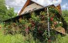 Casa renovata complet 4 dormitoare 2 bai teren 3000 mp Drajna de sus, Prahova - 4