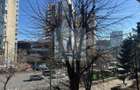 Apartament 3 camere Centrul Civic | Bd. Mihail Kogalniceanu - 8