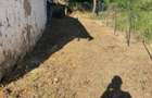 Teren de vanzare la 4km de ?trandul termal ta?nad in localitatea Silva? - 7