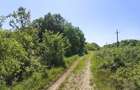 Teren de 4000 mp, în Mădulari - 2