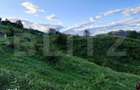 Teren Gura Humorului, construilbil, 4676mp, 46000 Euro