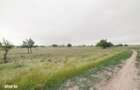 Lot teren 700 mp*Intravilan*Comuna Berceni*deschidere 17m - 6