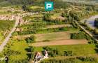 Teren intravilan 5.200 mp Capruta, com. Barzava