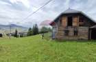 Teren 33,364mp Dorna Candrenilor / Strada Strugurel