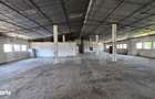Hala industriala, 700 mp, zona Barabant - 2